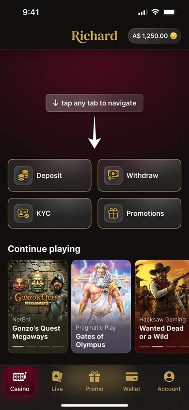 Using the Richard app — login & navigation – Richard